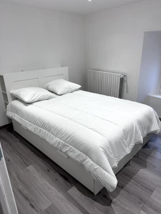 Appartement T4 En Hyper-Centre Bourgoin-Jallieu Bagian luar foto