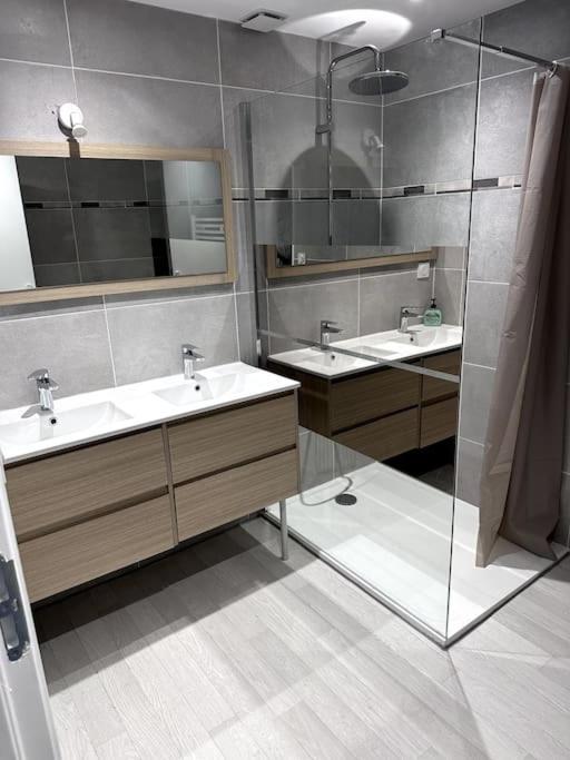 Appartement T4 En Hyper-Centre Bourgoin-Jallieu Bagian luar foto