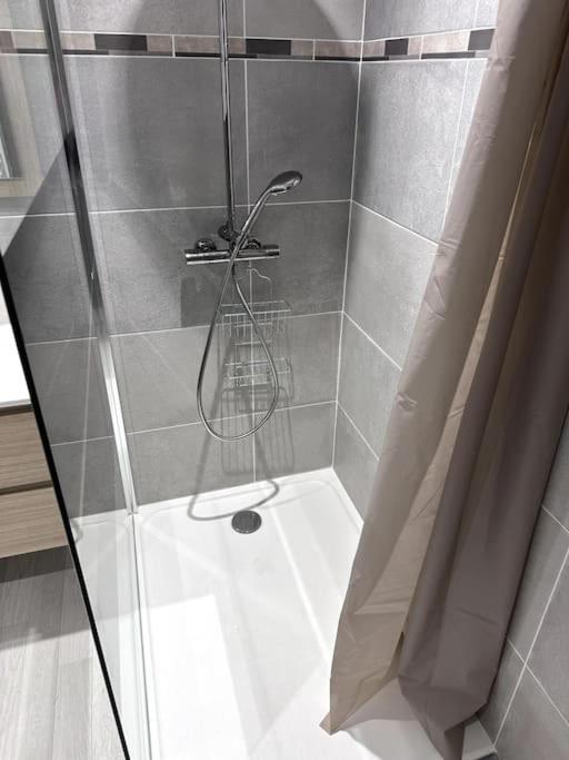 Appartement T4 En Hyper-Centre Bourgoin-Jallieu Bagian luar foto