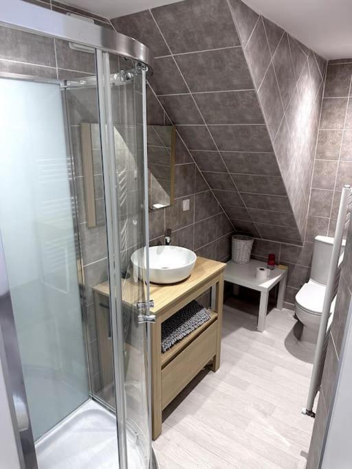 Appartement T4 En Hyper-Centre Bourgoin-Jallieu Bagian luar foto